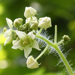 Huguenot Flatwater Park