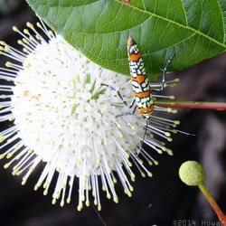 James River Park North