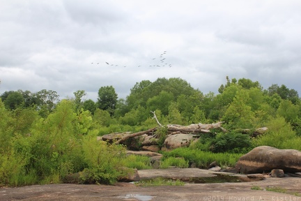 River Rocks with Geese Chevron