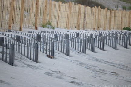 The Color Ends At The Shore