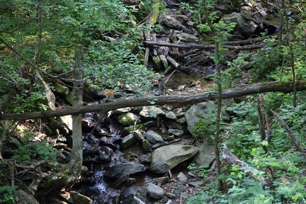 Dark Hollow Falls Trail
